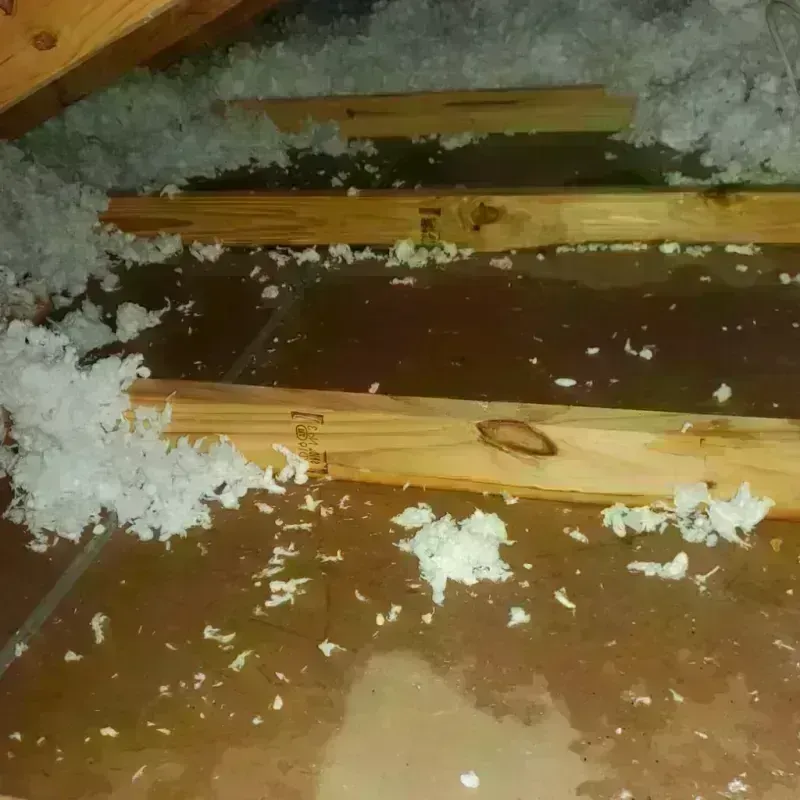 Attic Water Damage in West Yellowstone, MT