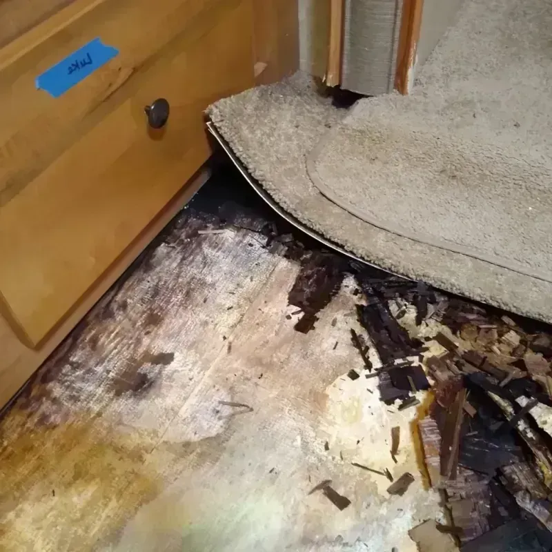 Wood Floor Water Damage in West Yellowstone, MT